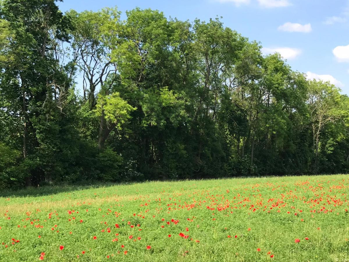 Chambre D'Hotes "Coquelicot" Nurlu Eksteriør billede